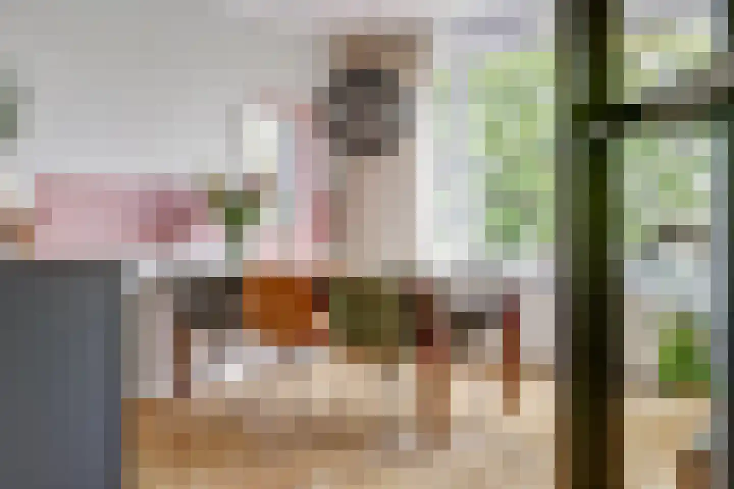 Novalaan 5 Arnhem thumbnail 5