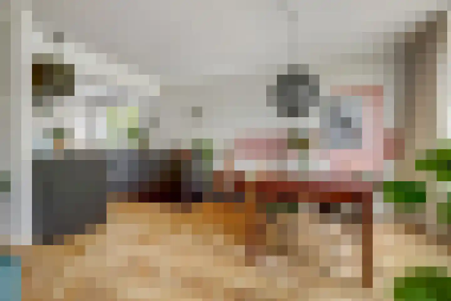 Novalaan 5 Arnhem thumbnail 6