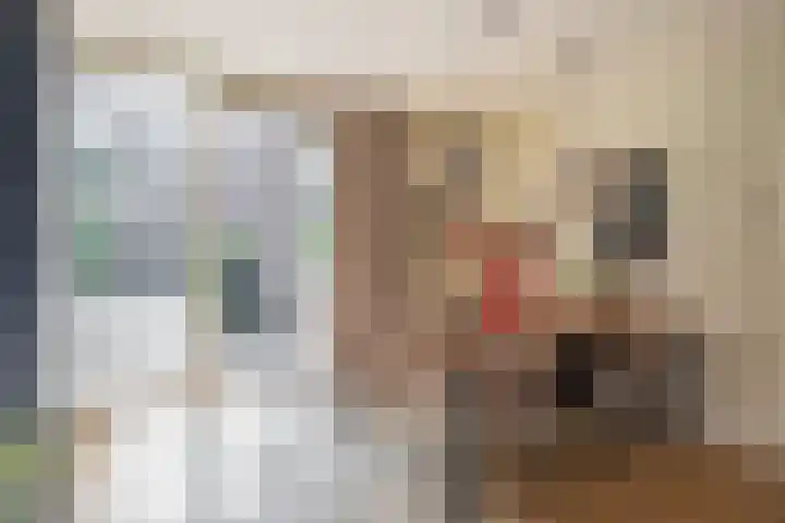 Novalaan 9 Arnhem thumbnail 11