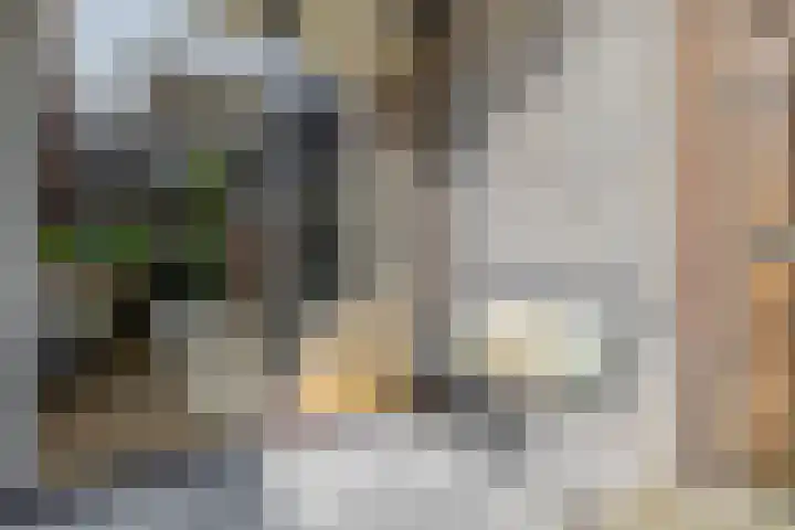 Novalaan 9 Arnhem thumbnail 29