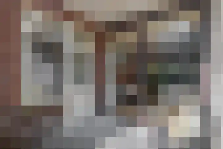 Novalaan 9 Arnhem thumbnail 30
