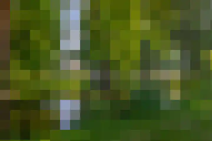 Novalaan 9 Arnhem thumbnail 35