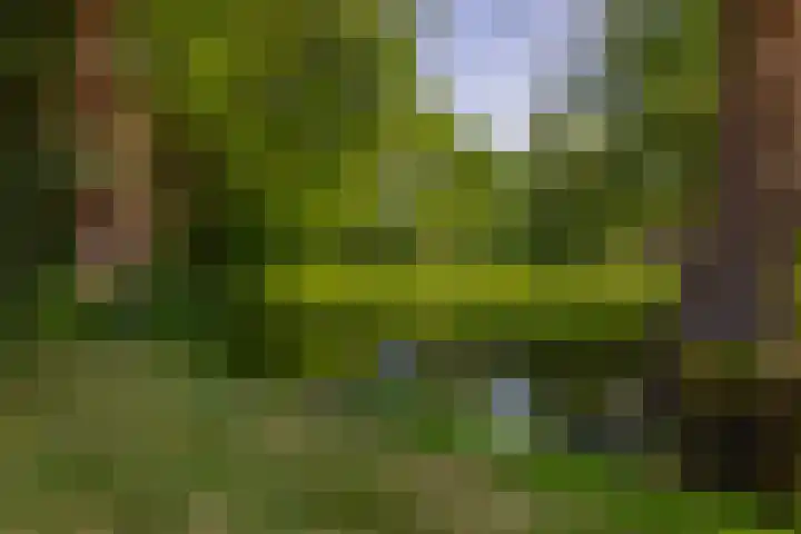Novalaan 9 Arnhem thumbnail 36