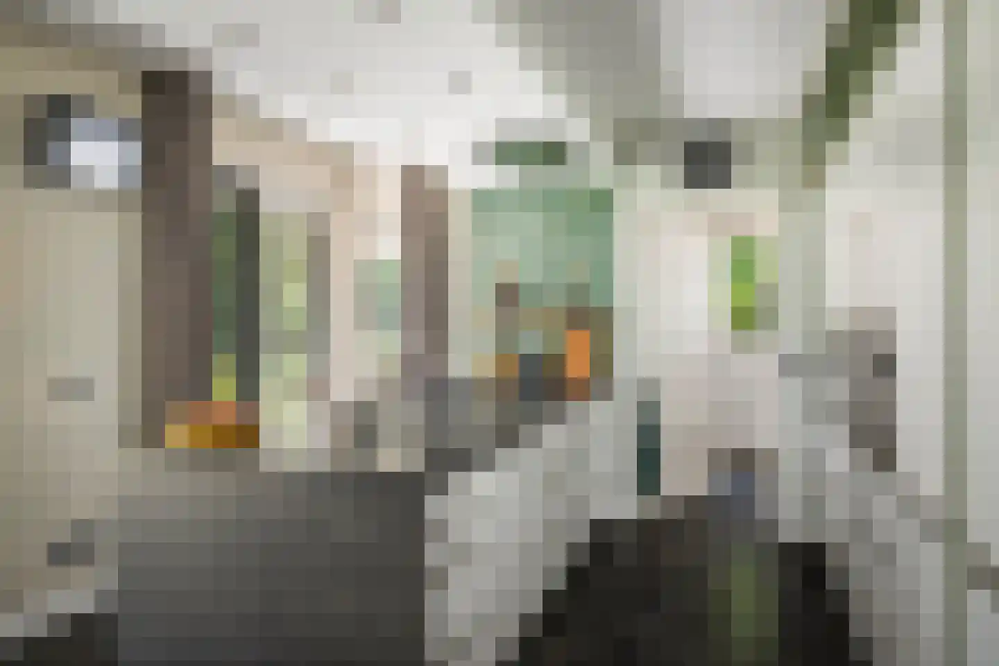 Novalieweg 36 Hattem thumbnail 16