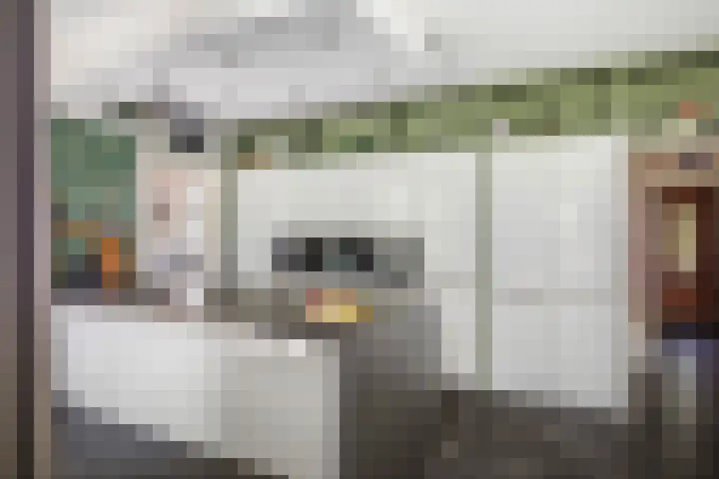 Novalieweg 36 Hattem thumbnail 17