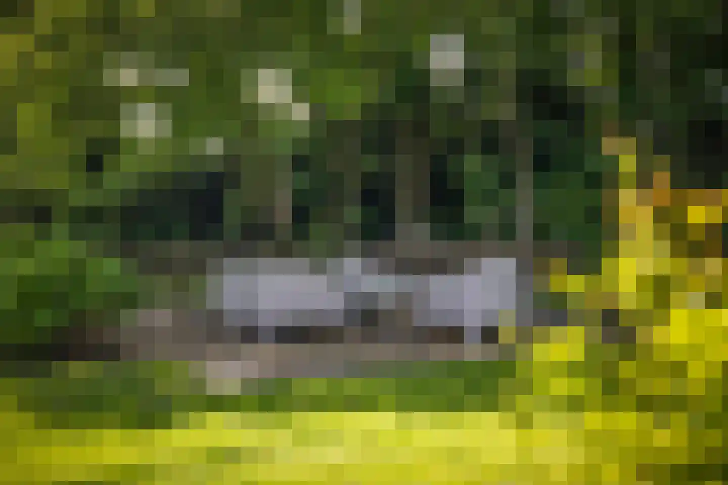 Novalieweg 36 Hattem thumbnail 46
