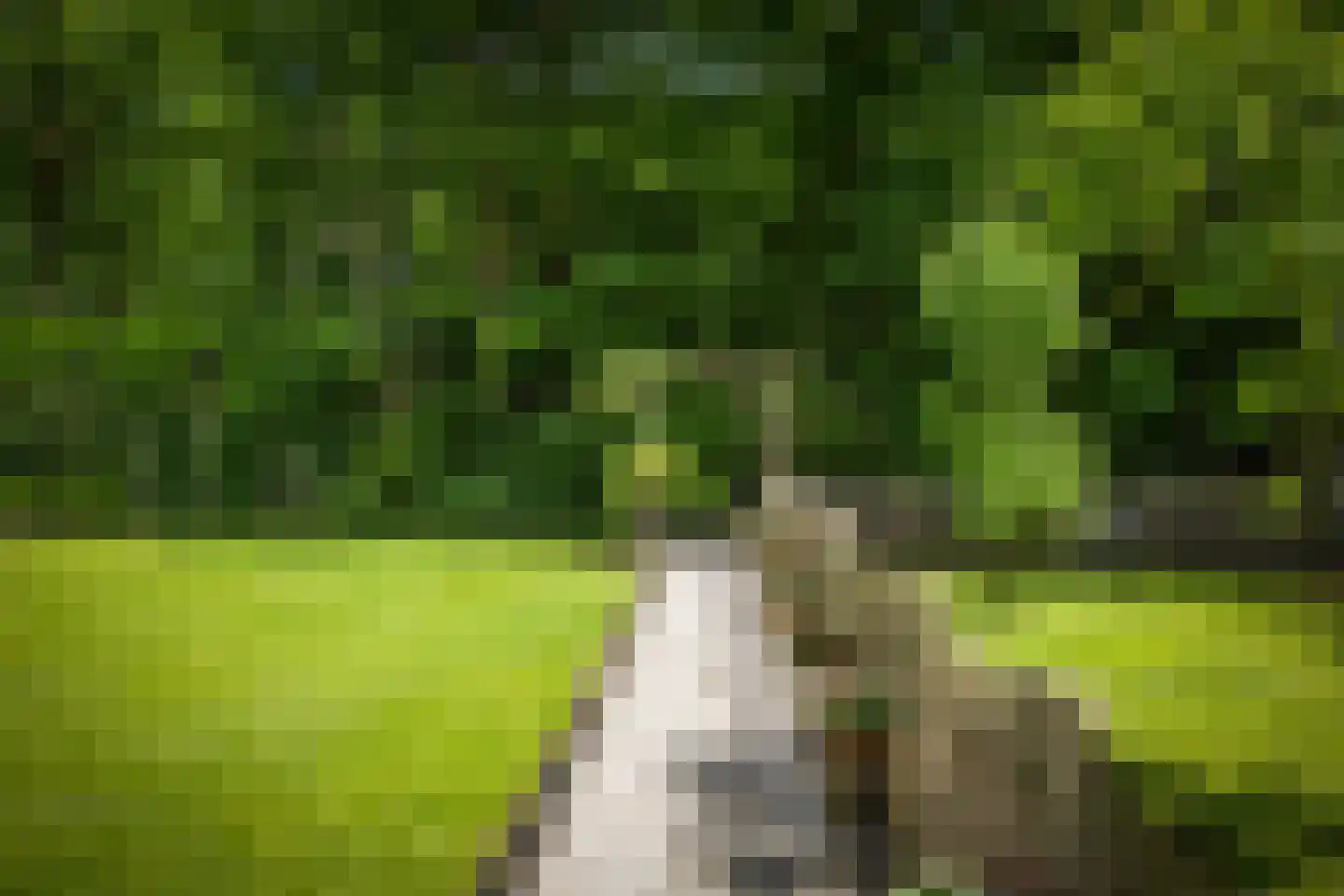 Novalieweg 36 Hattem thumbnail 47