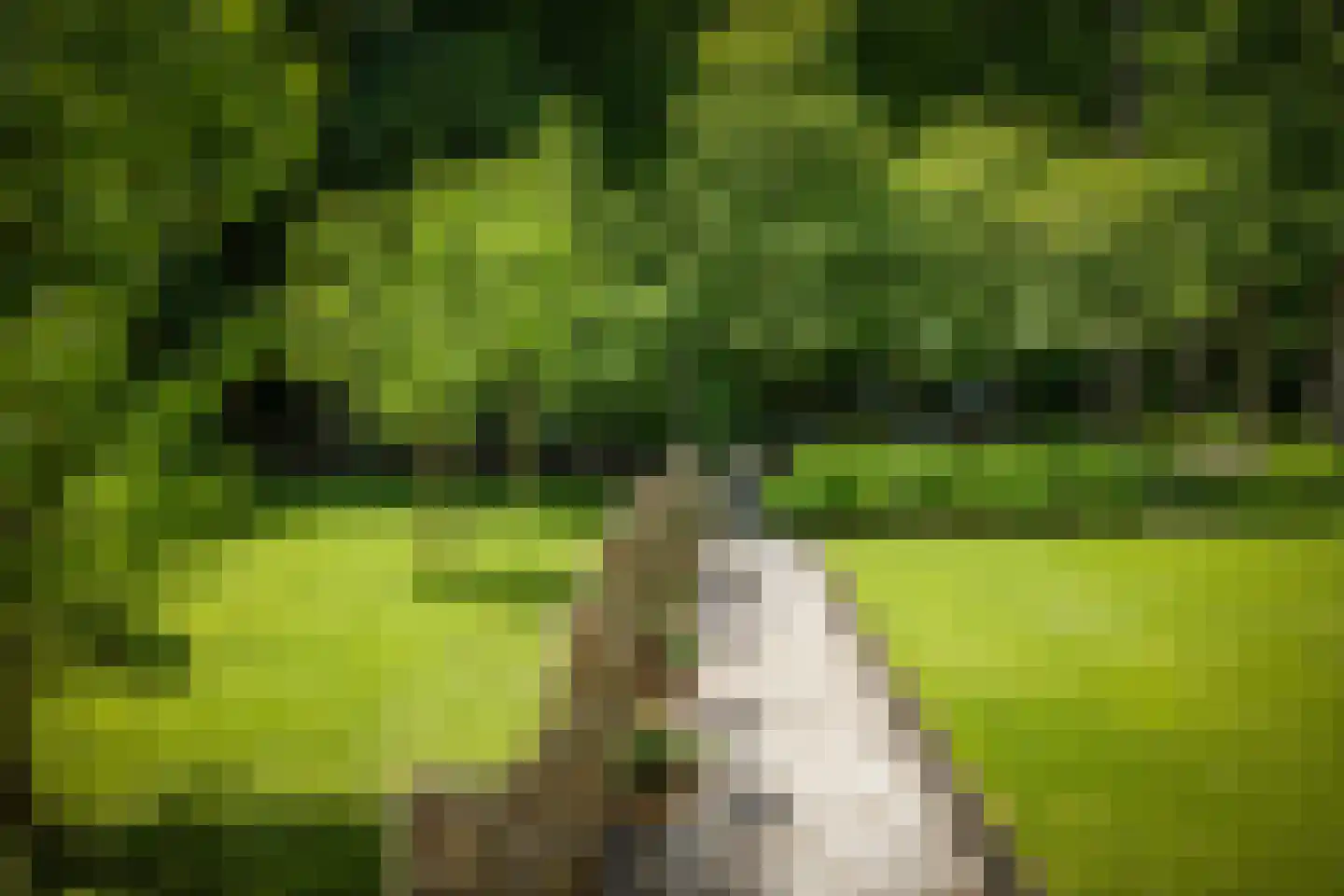 Novalieweg 36 Hattem thumbnail 48