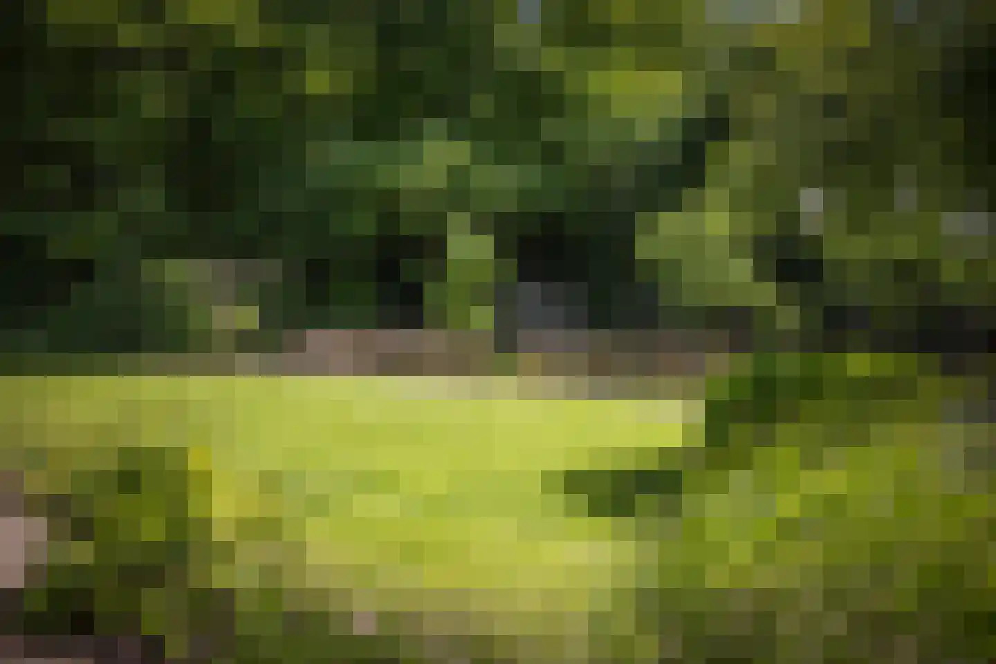 Novalieweg 36 Hattem thumbnail 50