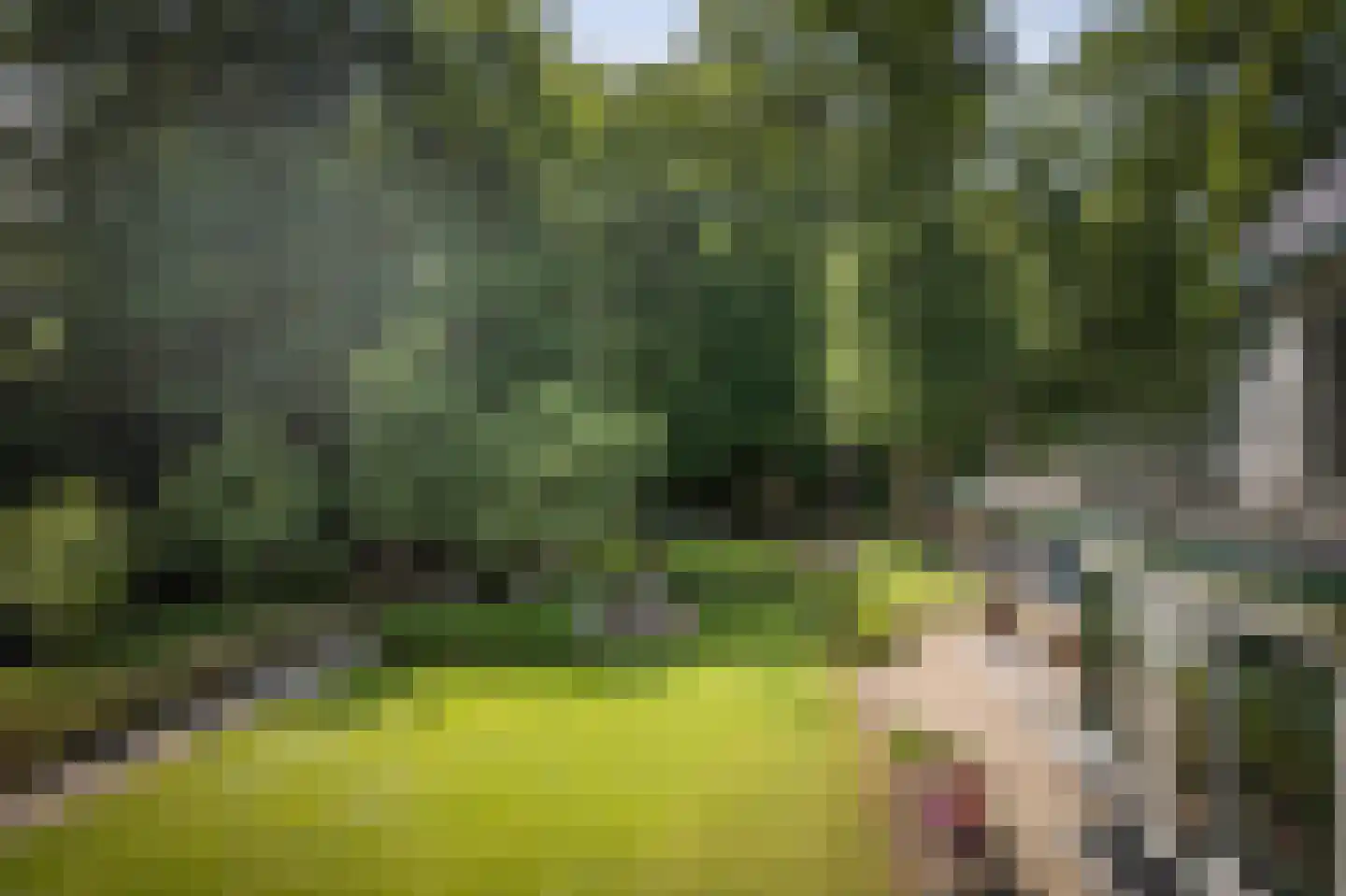 Novalieweg 36 Hattem thumbnail 55