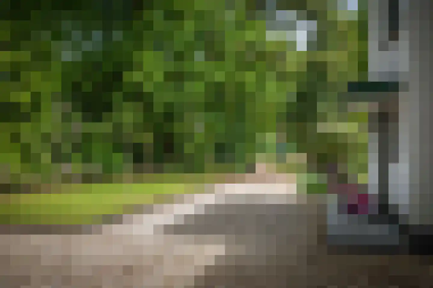 Novalieweg 36 Hattem thumbnail 61