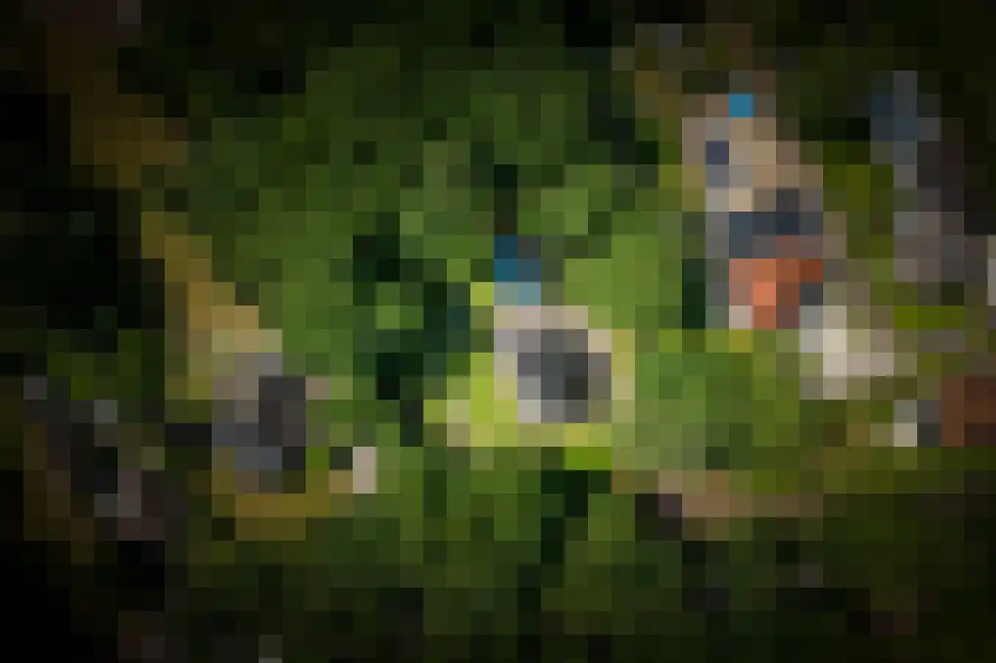 Novalieweg 36 Hattem thumbnail 63