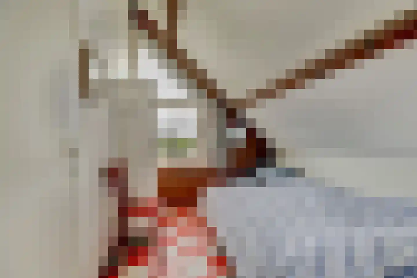 Nr 69 Indijk thumbnail 17