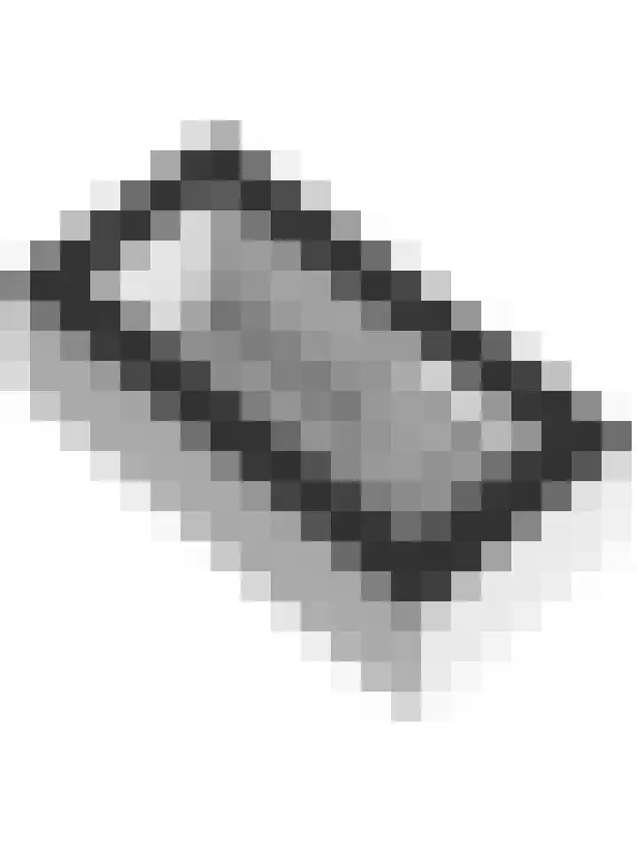 Team foto van Nu-Huren