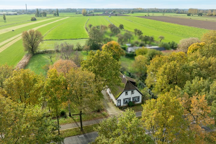 Nude 62 in Rhenen foto