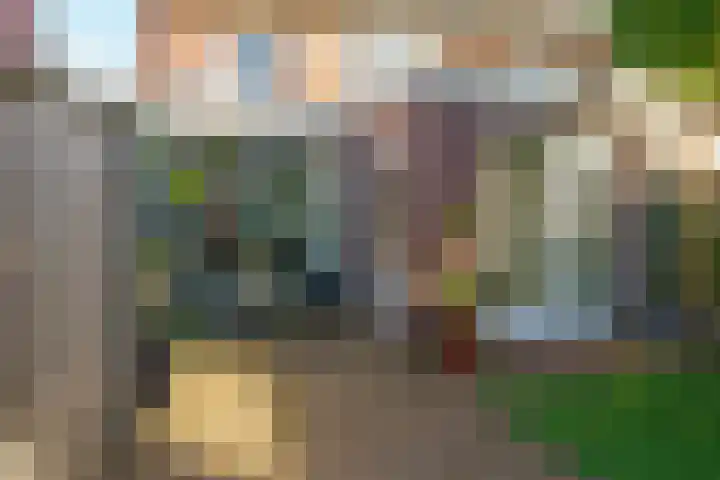 Nuenenseweg 99 Geldrop thumbnail 41