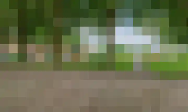 Nuenenseweg 99 Geldrop thumbnail 47