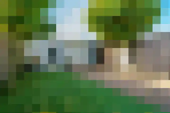 Nuenenseweg 99 Geldrop thumbnail 5