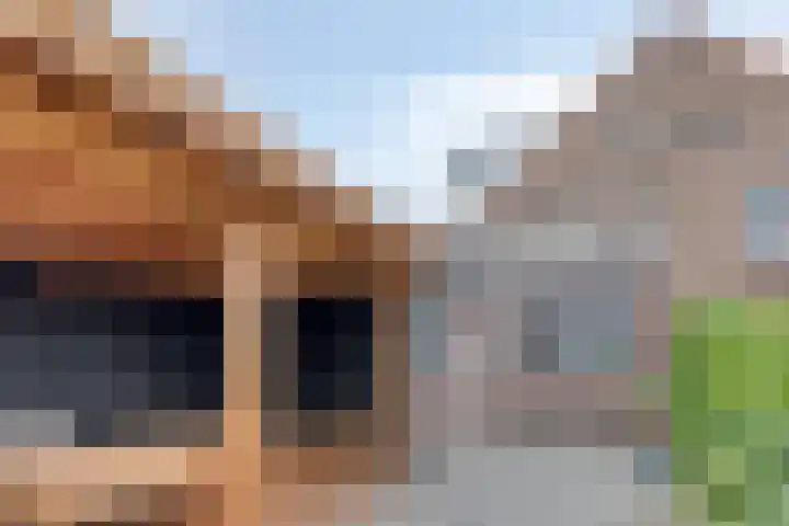 Nuijtsstraat 43 Breda thumbnail 32