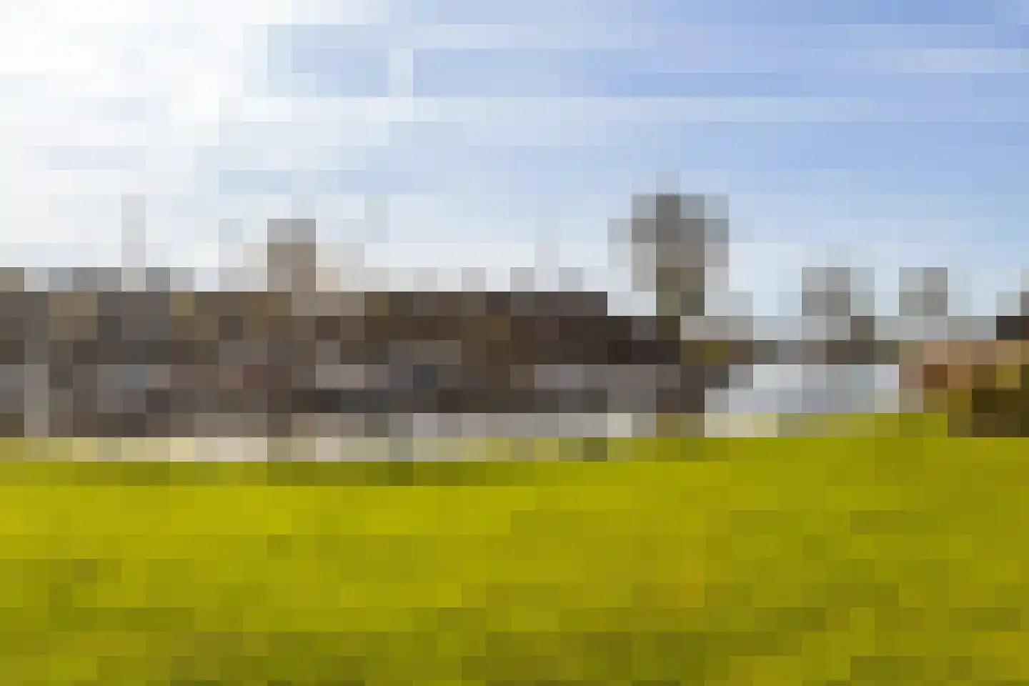 Numansgors 67 Numansdorp thumbnail 39