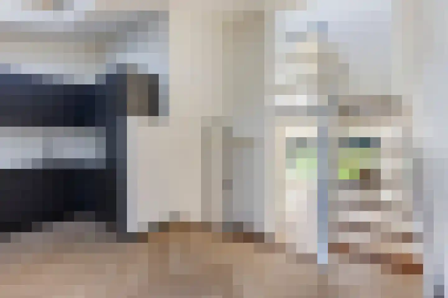 Numansgors 67 Numansdorp thumbnail 4
