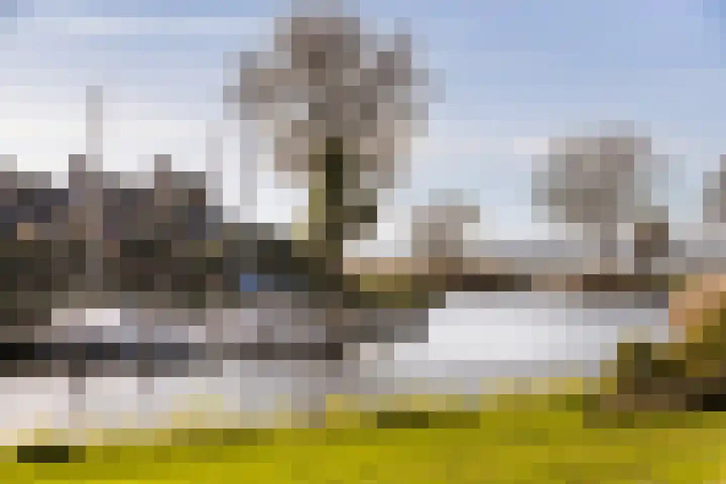 Numansgors 67 Numansdorp thumbnail 40