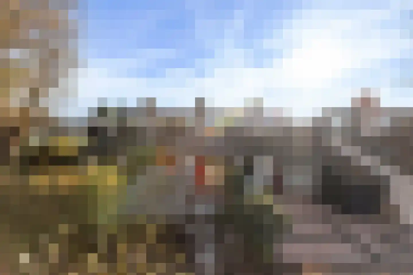 Numansgors 67 Numansdorp thumbnail 43