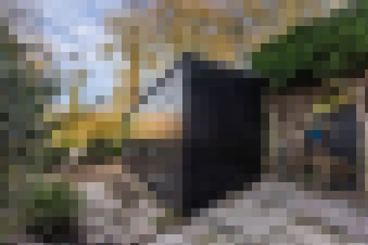 Numansgors 67 Numansdorp thumbnail 44