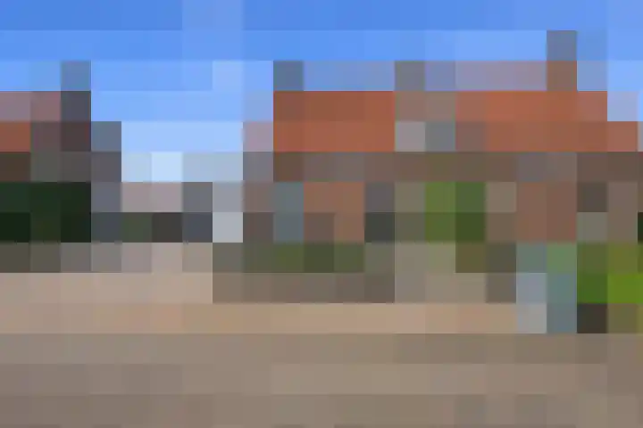 Nummer Eén 14 Hoofdplaat foto 2