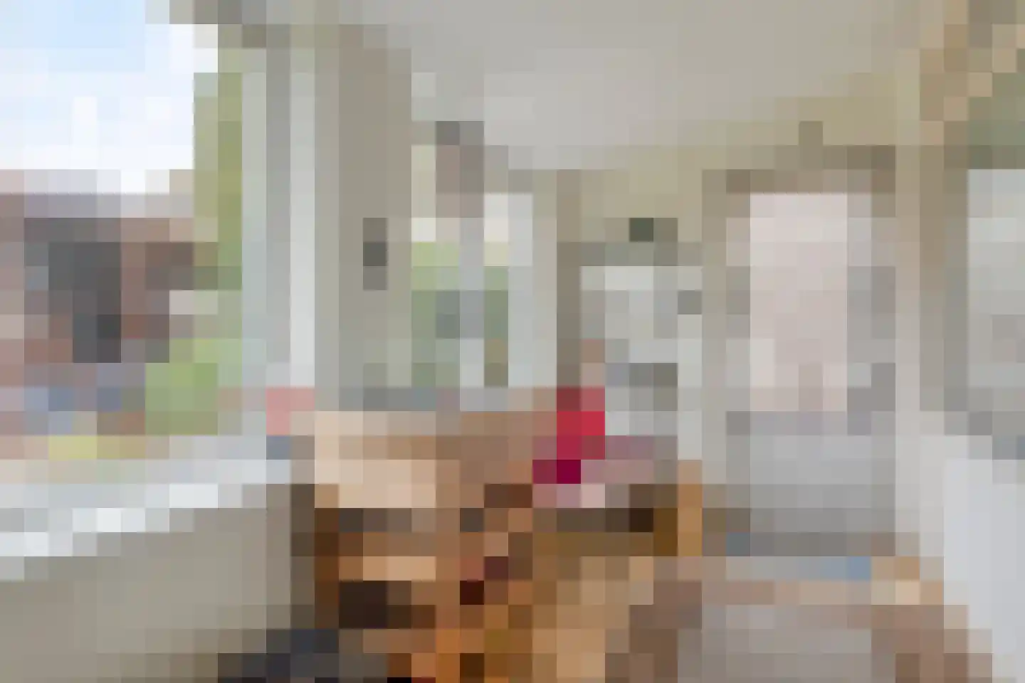 Nummer Eén 51 Hoofdplaat thumbnail 16