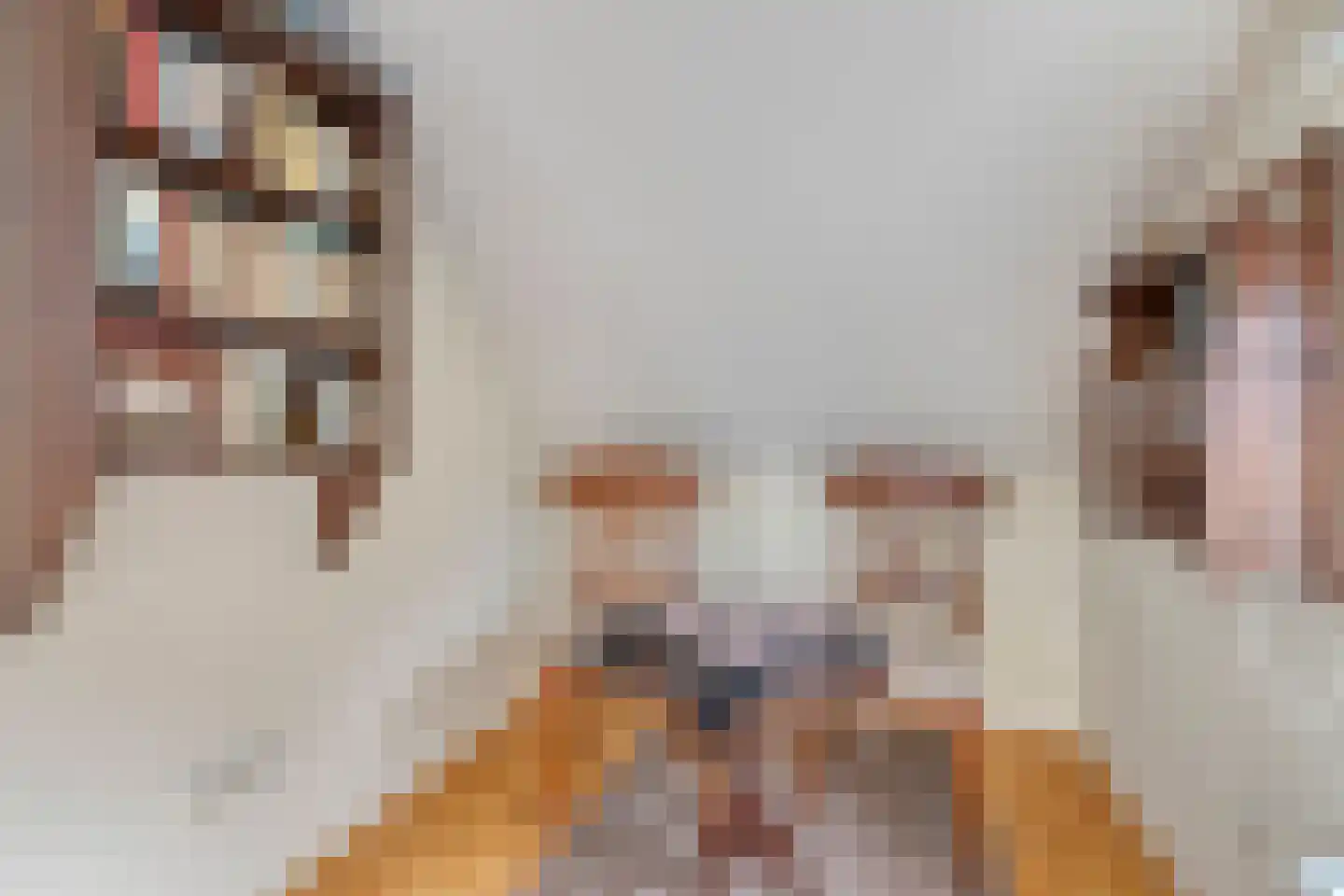Nummer Eén 51 Hoofdplaat thumbnail 20