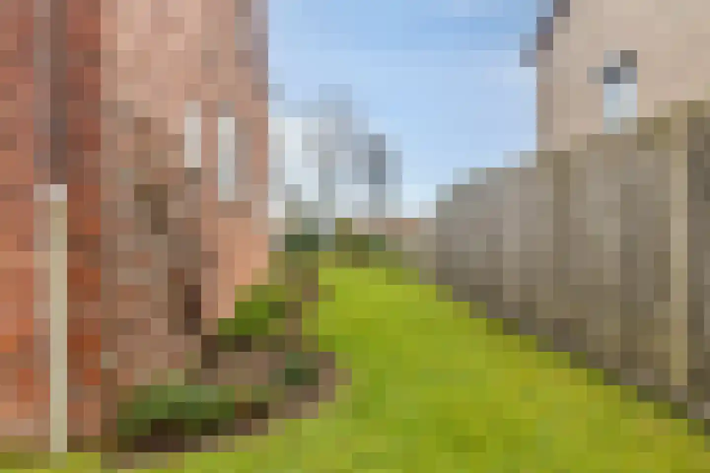 Nummer Eén 51 Hoofdplaat thumbnail 27