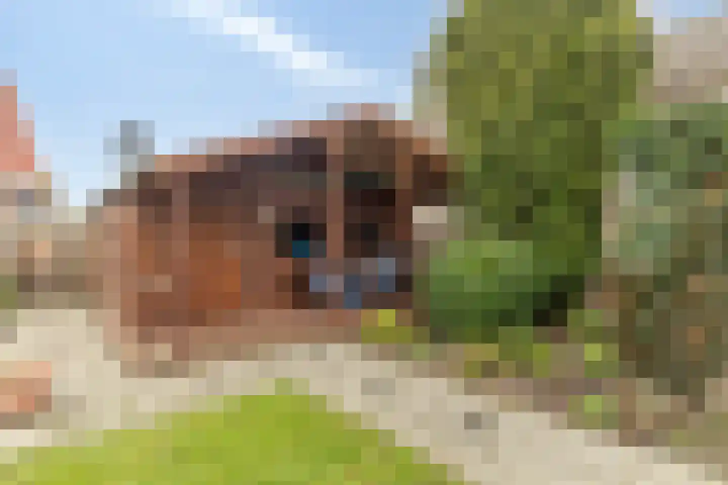 Nummer Eén 51 Hoofdplaat thumbnail 28