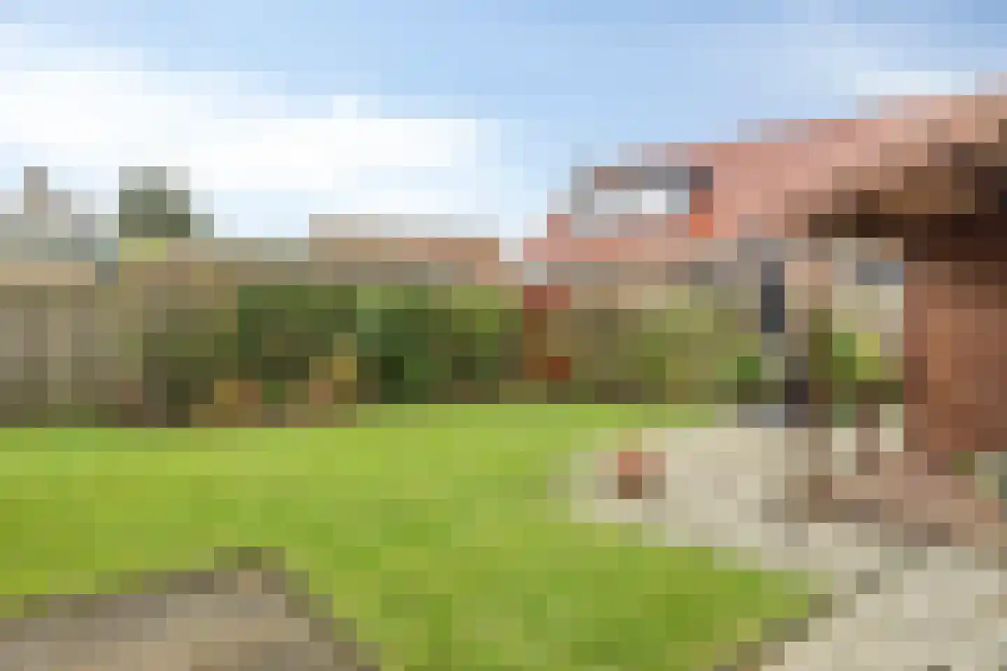 Nummer Eén 51 Hoofdplaat thumbnail 29