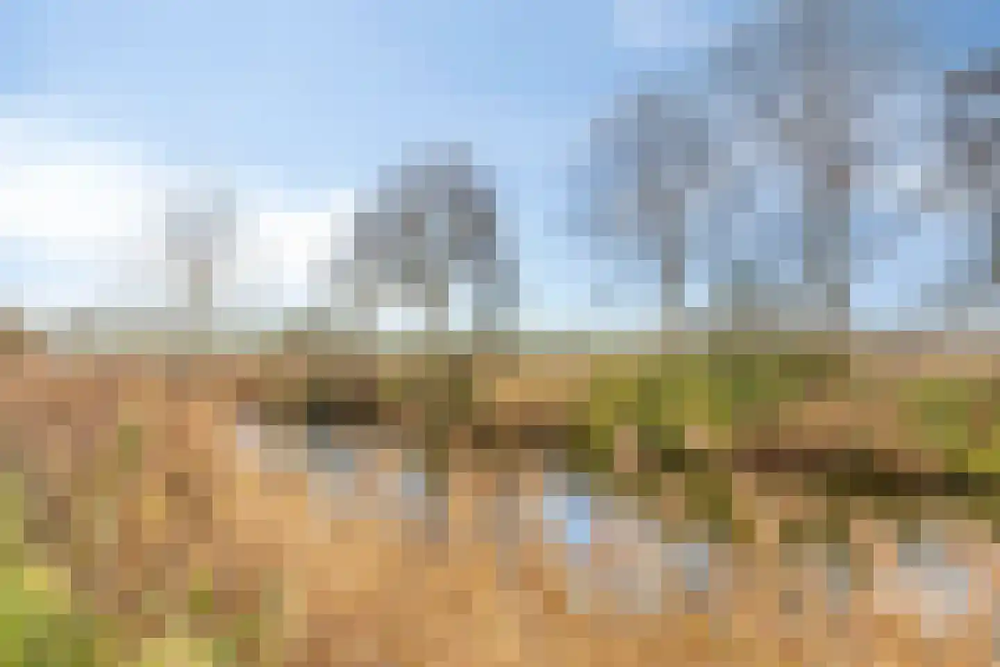 Nummer Eén 51 Hoofdplaat thumbnail 30