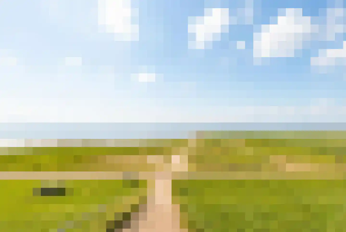 Nummer Eén 51 Hoofdplaat thumbnail 32