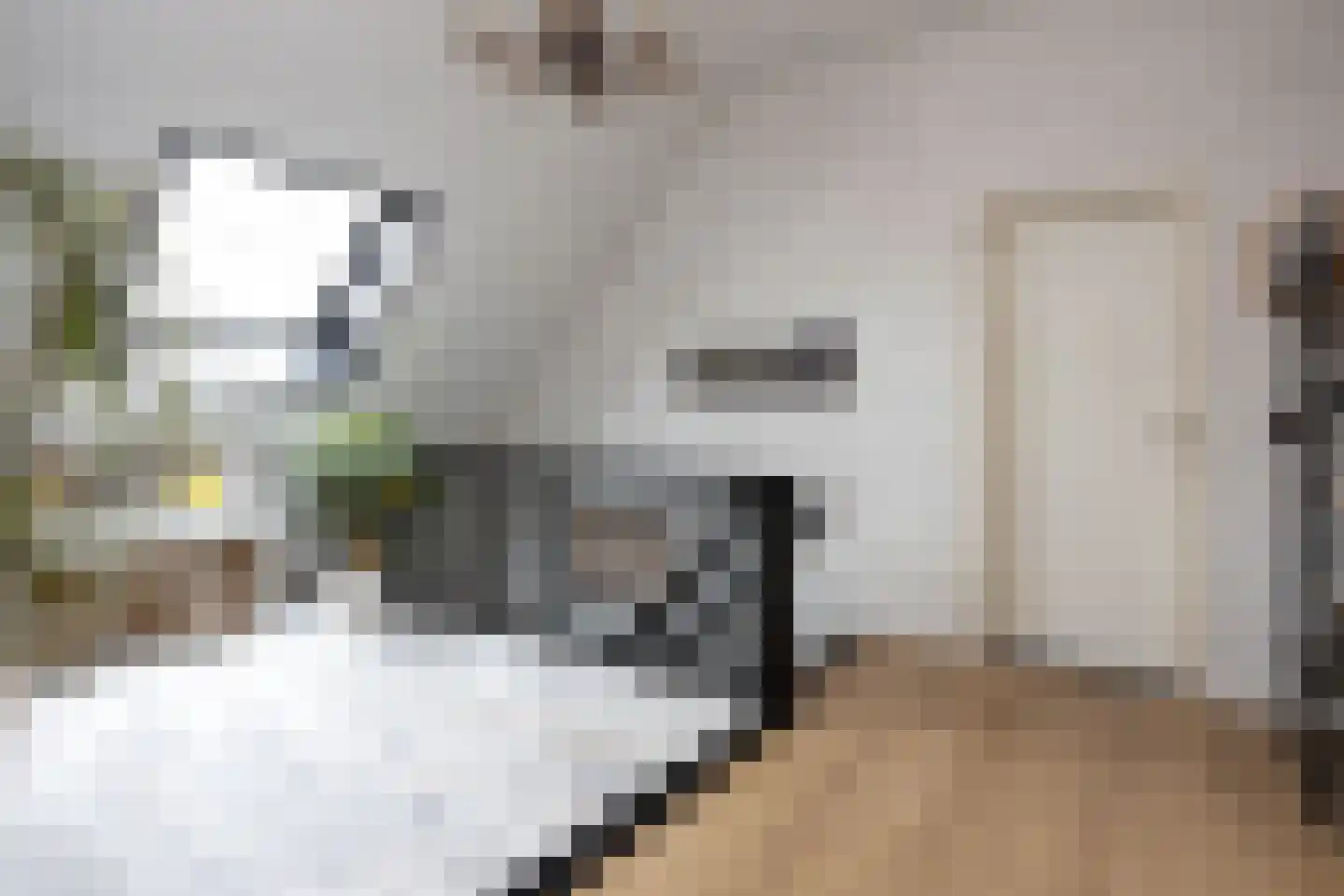 Nunspeterweg 7 Vierhouten thumbnail 22