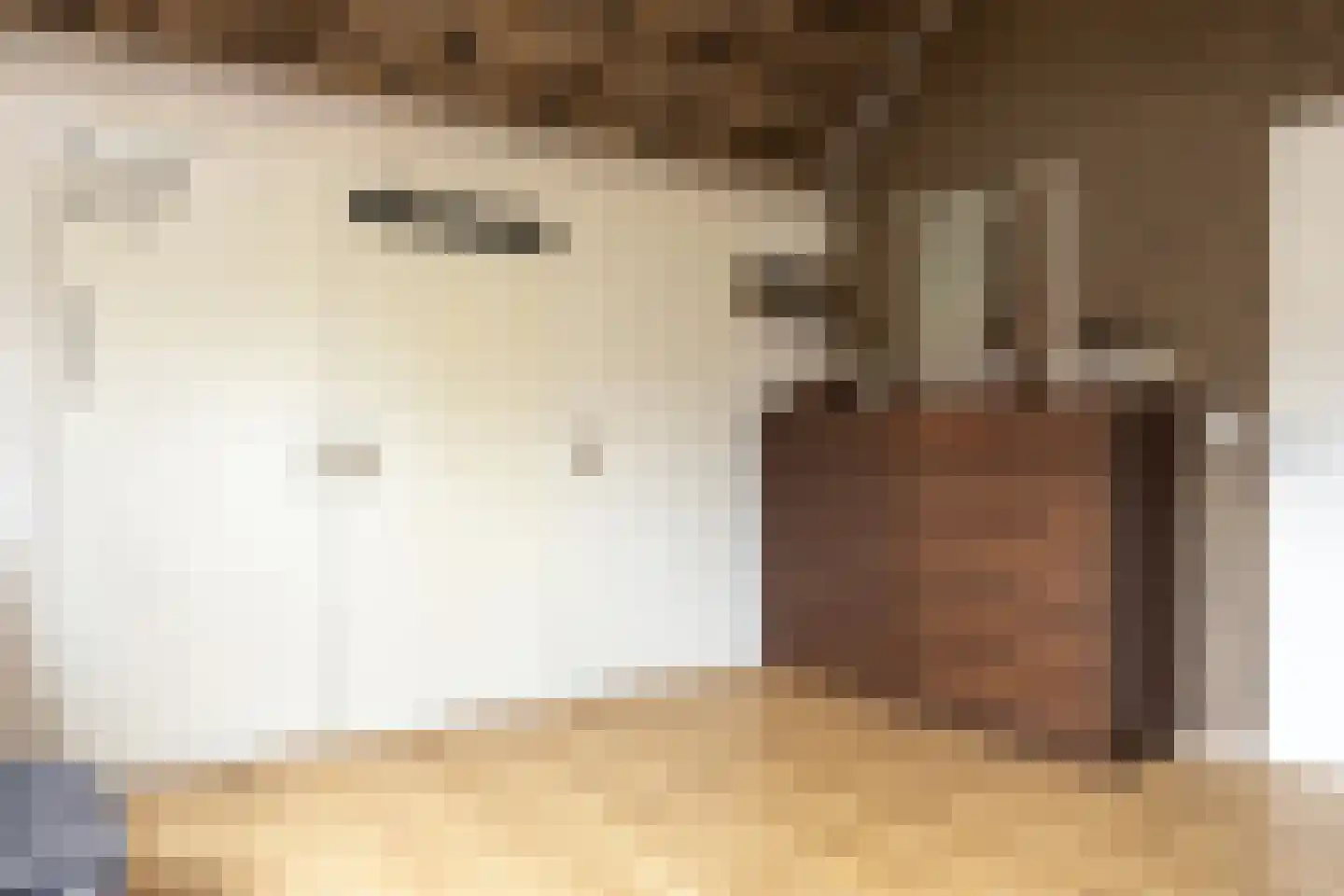 Nunspeterweg 7 Vierhouten thumbnail 24