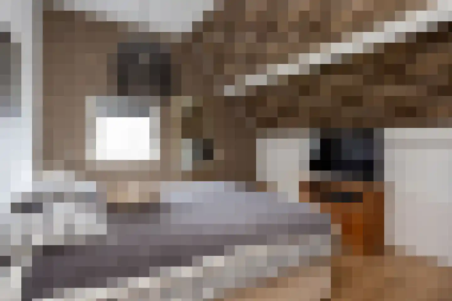 Nunspeterweg 7 Vierhouten thumbnail 26