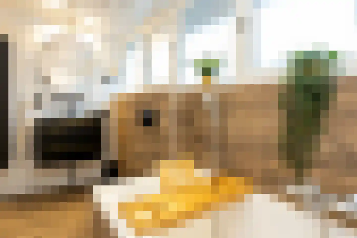 Nunspeterweg 7 Vierhouten thumbnail 28