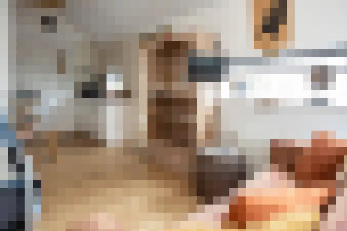 Nunspeterweg 7 Vierhouten thumbnail 32