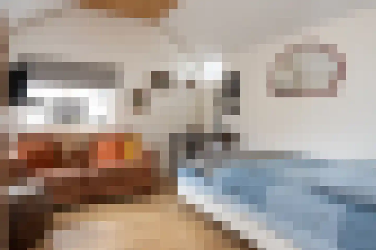 Nunspeterweg 7 Vierhouten thumbnail 33