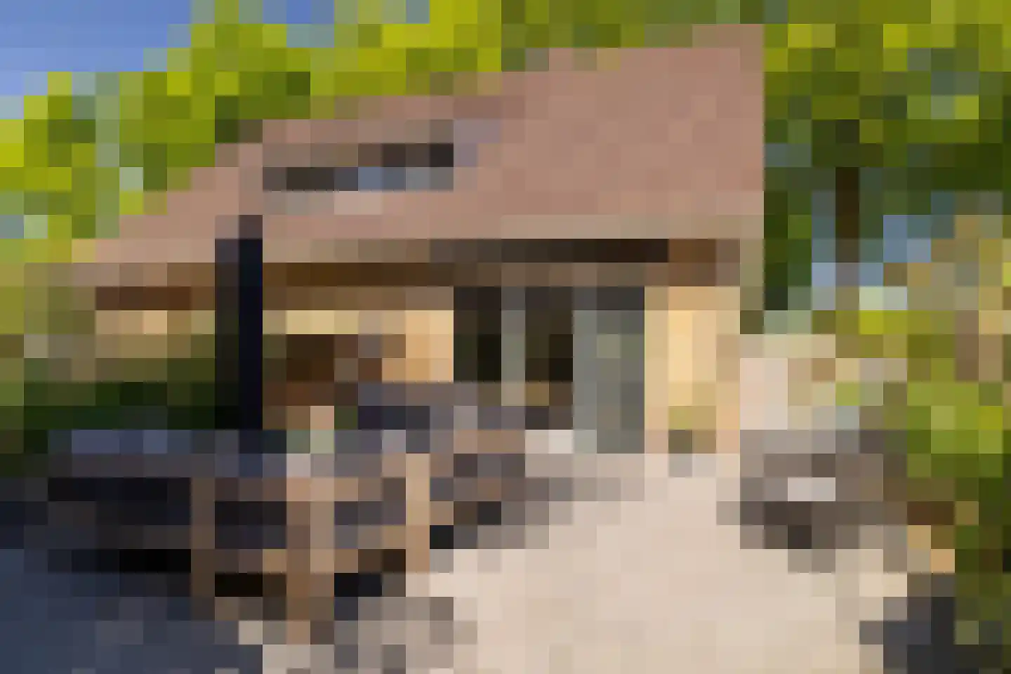 Nunspeterweg 7 Vierhouten thumbnail 43
