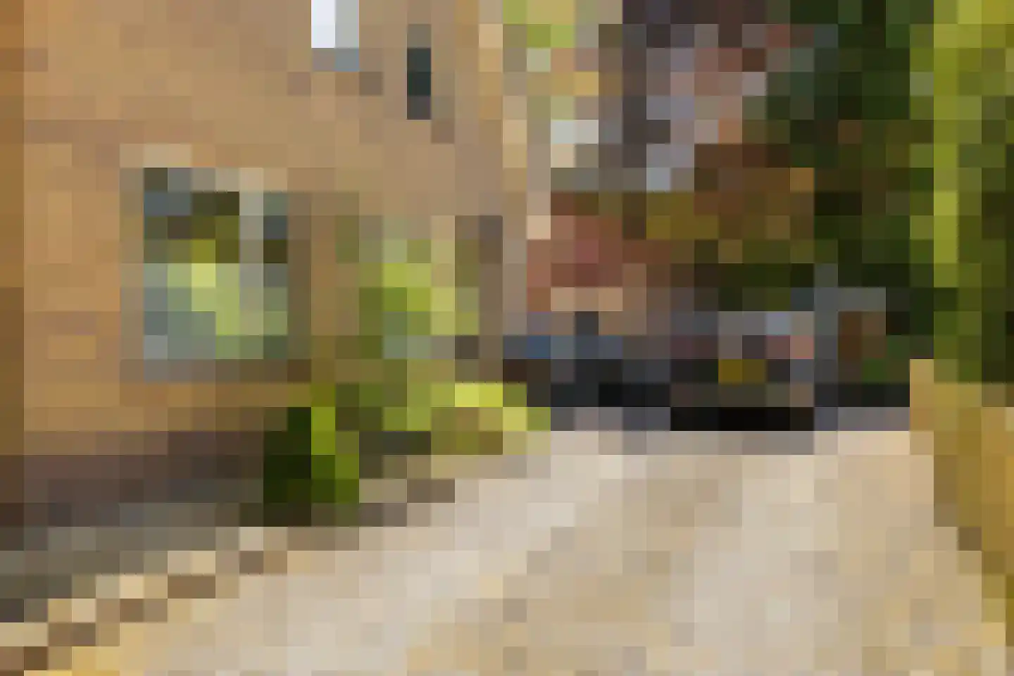 Nunspeterweg 7 Vierhouten thumbnail 48