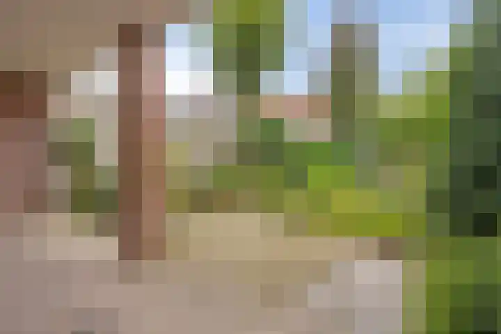 Nusterweg 12 Sittard thumbnail 10