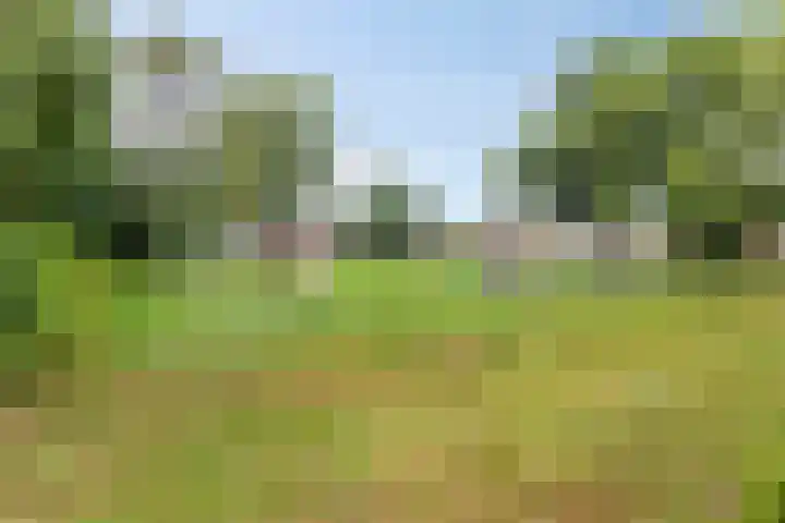 Nusterweg 12 Sittard thumbnail 31