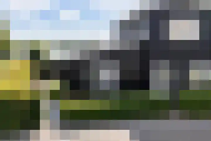 Oan'e Poel 10 Terherne thumbnail 12