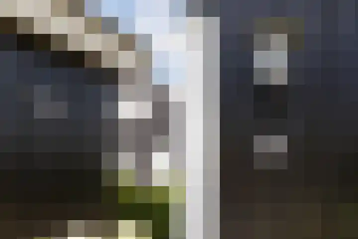 Oan'e Poel 10 Terherne thumbnail 18