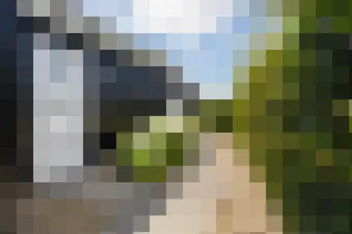 Oan'e Poel 10 Terherne thumbnail 19