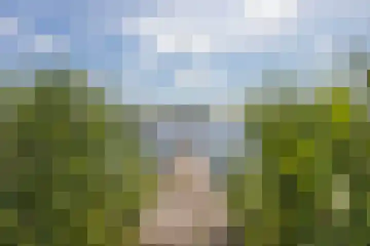 Oan'e Poel 10 Terherne foto 2